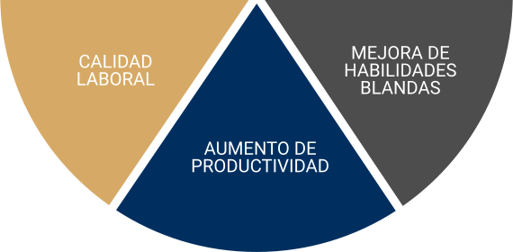 Acelera ROI